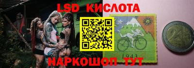 прущие грибы Заволжье