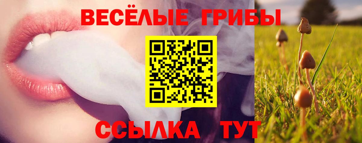 Галлюциногенные грибы мухоморы Люберцы